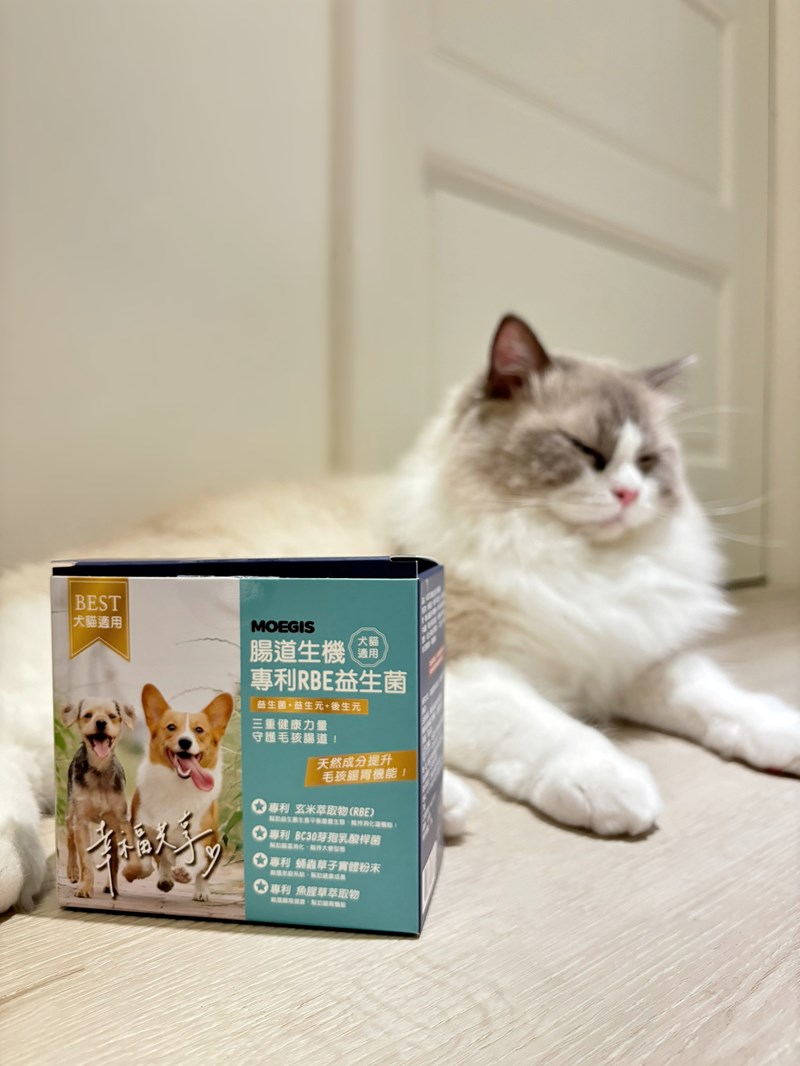 女人知己試用大隊,口碑行銷,部落客行銷,Moegis萌吉 腸道生機專利RBE益生菌,寵物益生菌,專利RBE益生元,專利蔬果酵素,小分子胜肽,藍藻粉,維持免疫力,幫助維持消化道機能,維持正常食慾,改變細菌叢生態,腸胃保健,犬貓適用